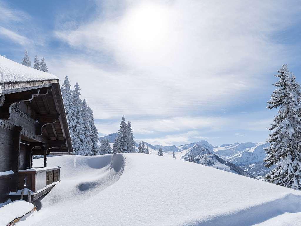 The Alpina Gstaad Hotel Buitenkant foto